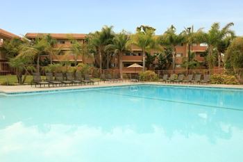 Shimmering swimming pool